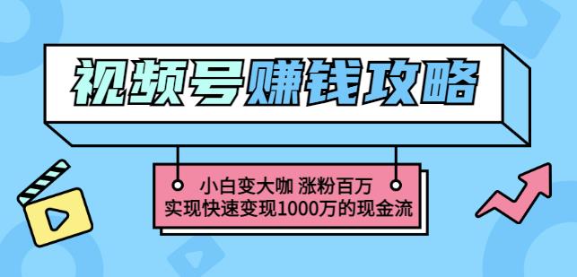 玩转微信视频号赚钱：小白变大咖涨粉百万实现快速变现1000万的现金流-灵动共创