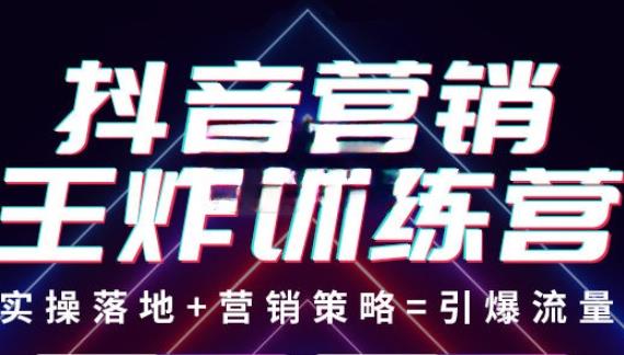 抖音营销王炸训练营，实操落地+营销策略=引爆流量（价值8960元）-灵动共创