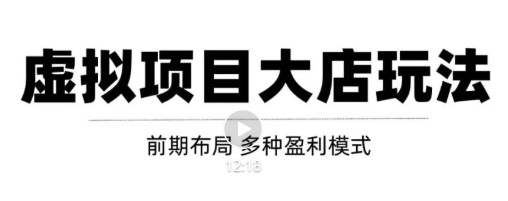 虚拟项目月入几万大店玩法分享，多店操作利润倍增（快速起店盈利）-灵动共创