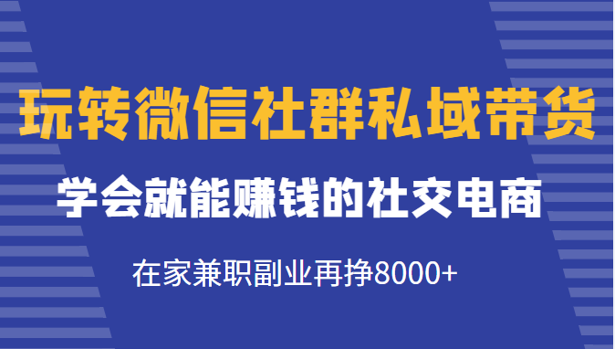 玩转微信社群私域带货，学会就能赚钱的社交电商，在家兼职副业再挣8000+-灵动共创