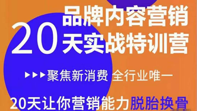《内容营销实操特训营》20天让你营销能力脱胎换骨（价值3999）-灵动共创
