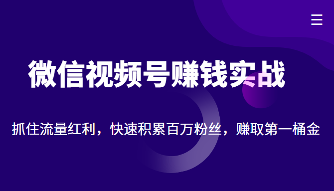 微信视频号赚钱实战：抓住流量红利，快速积累百万粉丝，赚取你的第一桶金-灵动共创