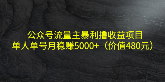 公众号流量主暴利撸收益项目，单人单号月稳赚5000+（价值480元）-灵动共创
