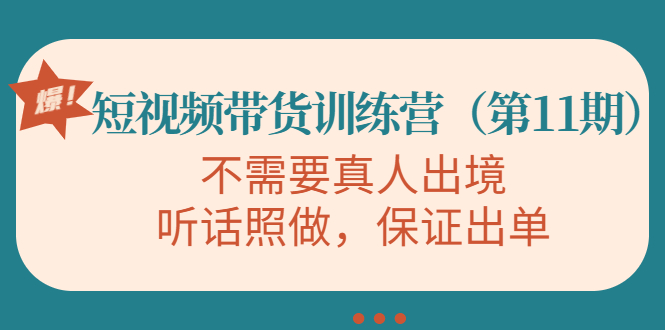 视频带货训练营，不需要真人出境，听话照做，保证出单（第11期）-灵动共创