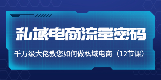 私域电商流量密码：千万级大佬教您如何做私域电商（12节课）-灵动共创