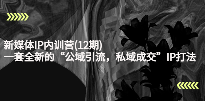 新媒体IP内训营(12期)，一套全新的“公域引流，私域成交”IP打法，直接带走-灵动共创