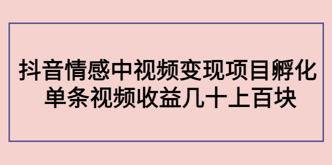 副业孵化营第5期：抖音情感中视频变现项目孵化 单条视频收益几十上百-灵动共创