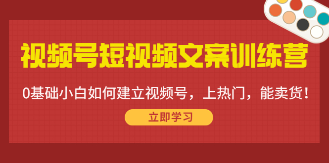 视频号短视频文案训练营：0基础小白如何建立视频号，上热门，能卖货！-灵动共创