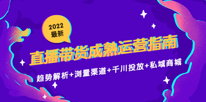2022最新直播带货成熟运营指南3.0：趋势解析+浏量渠道+千川投放+私域商城-灵动共创