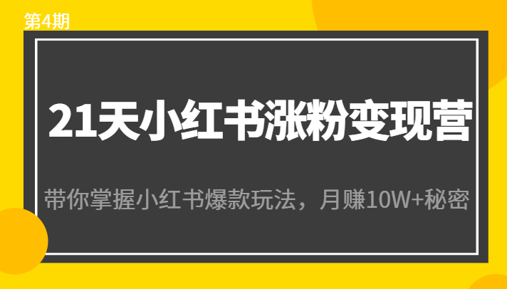 21天小红书涨粉变现营（第4期）：带你掌握小红书爆款玩法，月赚10W+秘密-灵动共创