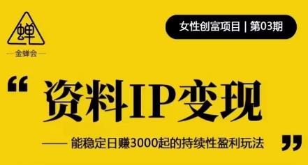 资料IP变现，能稳定日赚3000起的持续性盈利玩法-灵动共创