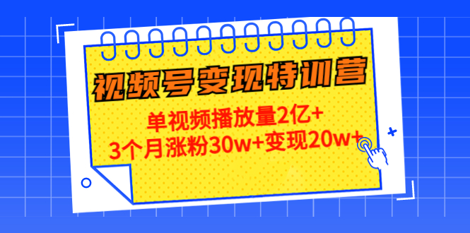 21天视频号变现特训营：单视频播放量2亿+3个月涨粉30w+变现20w+（第14期）-灵动共创