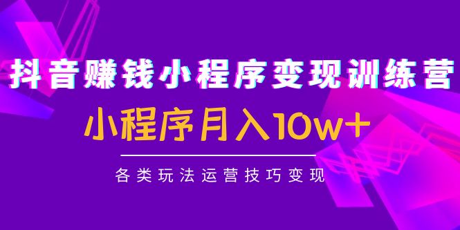 抖音赚钱小程序变现训练营：小程序月入10w+各类玩法运营技巧变现-灵动共创
