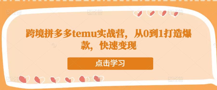 跨境拼多多temu实战营，从0到1打造爆款，快速变现-灵动共创