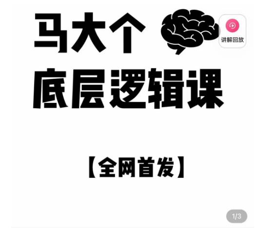 马大个·底层逻辑课，51节底层逻辑智慧课-价值1980元-灵动共创