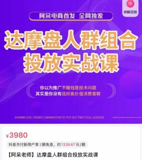 阿呆电商·达摩盘人群组合投放实战课，你以为推广不赚钱是技术问题，其实是你没有选好高价值消费客群-灵动共创