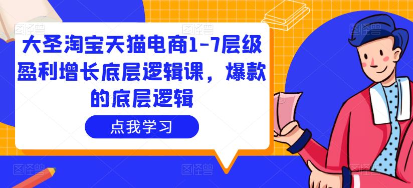 大圣淘宝天猫电商1-7层级盈利增长底层逻辑课，爆款的底层逻辑-灵动共创