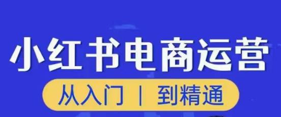 顽石小红书电商高阶运营课程，从入门到精通，玩法流程持续更新-灵动共创