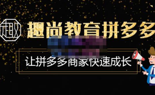 趣尚教育·拼多多运营实操VIP特训营，让拼多多商家快速成长-价值3180元-灵动共创