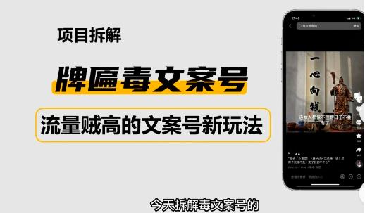 2023抖音快手毒文案新玩法，牌匾文案号，起号快易变现-灵动共创