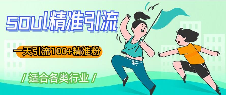 soul精准引流系列课程，一天引流100+精准粉，适合各类行业-灵动共创