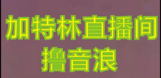 抖音加特林直播间搭建技术，抖音0粉开播，暴力撸音浪，2023新口子，每天800+【素材+详细教程】-灵动共创