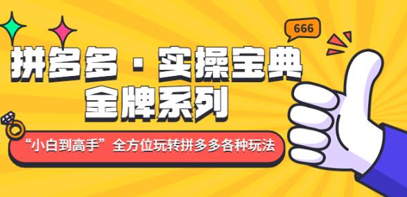 拼多多·实操宝典：金牌系列“小白到高手”带你全方位玩转拼多多各种玩法-灵动共创