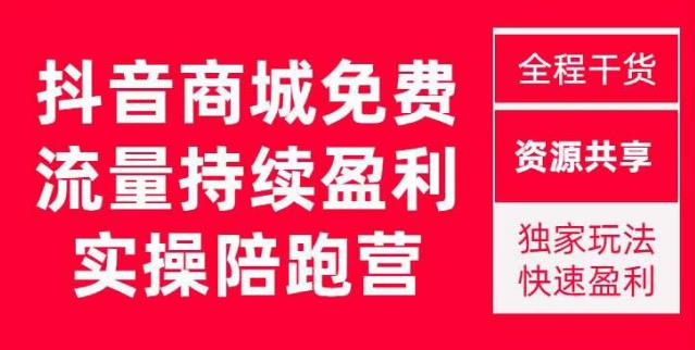 抖音商城搜索持续盈利陪跑成长营，抖音商城搜索从0-1、从1到10的全面解决方案-灵动共创