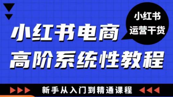 小红书电商高阶系统教程，新手从入门到精通系统课-灵动共创