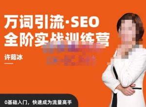 许茹冰·万词引流-SEO全阶实战训练营,0基础入门,快速成为流量高手-灵动共创