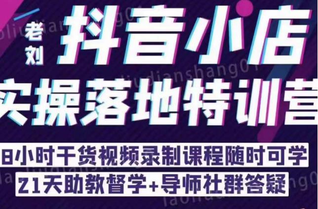 抖音小店实操落地特训营：抖音小店无货源精细化运营，抖店商品卡流量（22节）-灵动共创
