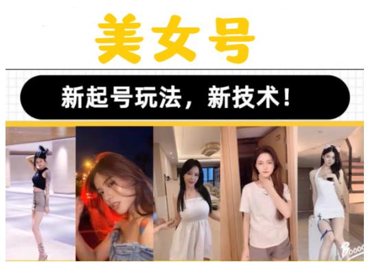2023抖音快手短视频美女号课程制作玩法教程，美女号搬运新起号玩法，新技术（素材+教程）-灵动共创