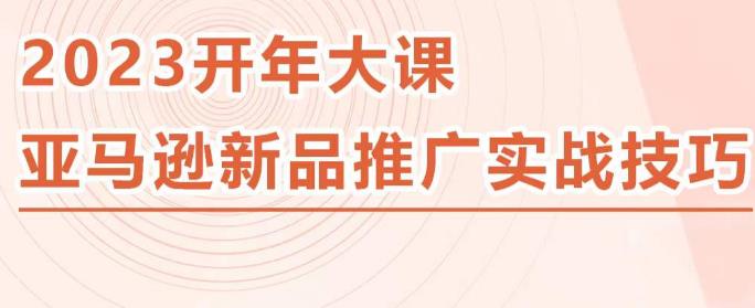 2023亚马逊新品推广实战技巧，线下百万美金课程的精简版，简单粗暴可复制，实操性强的推广手段-灵动共创