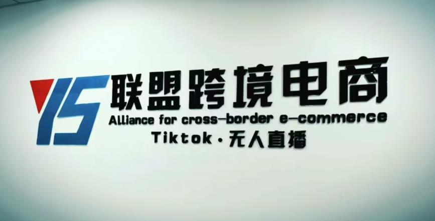 YS联盟·Tiktok无人直播，不出镜不剪辑不拍摄不发货无售后的跨境短视频躺赚玩法-灵动共创