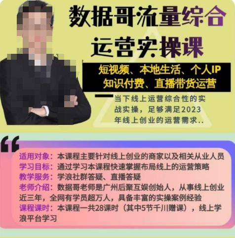 数据哥流量综合运营实操课：短视频、本地生活、个人IP知识付费、直播带货运营-灵动共创