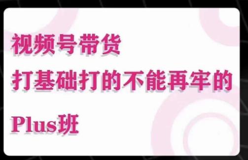大播汇·视频号带货Puls班，视频号底层逻辑，起号自然流鱼塘等玩法-灵动共创