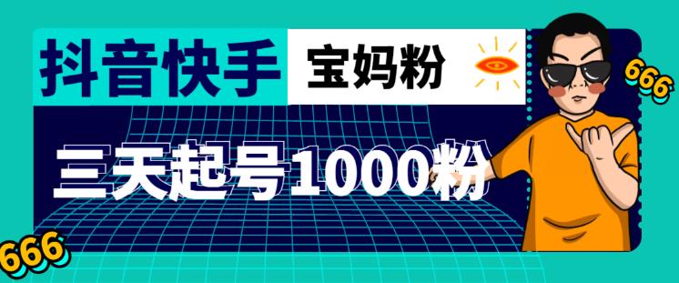 抖音快手三天起号涨粉1000宝妈粉丝的核心方法【详细玩法教程】-灵动共创