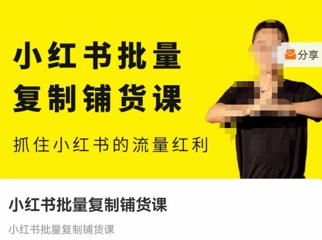 张宾·小红书批量复制铺货课，抓住小红书的流量红利 （更新2023年2月）-灵动共创
