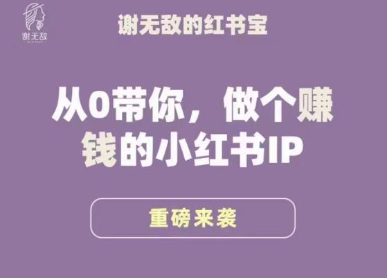 谢无敌·小红书运营大宝典，从0带你做个赚钱的小红书IP-灵动共创