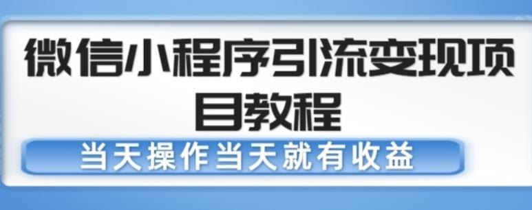 微信小程序引流变现项目教程，当天操作当天就有收益，变现不再是难事-灵动共创