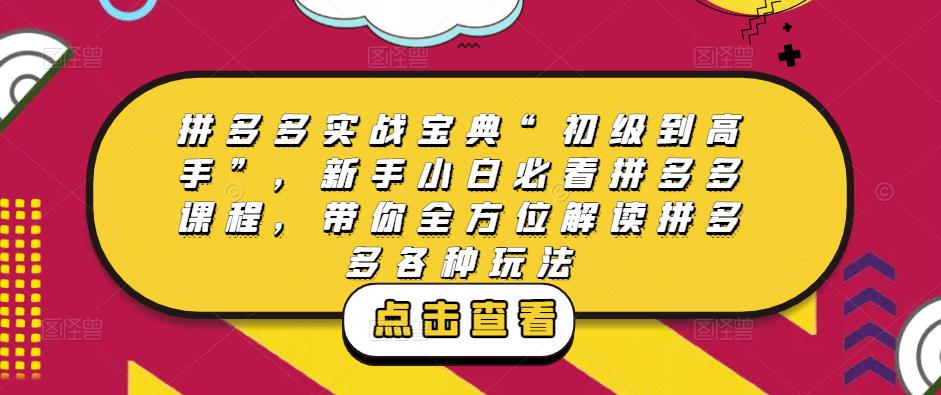 拼多多实战宝典“初级到高手”，新手小白必看拼多多课程，带你全方位解读拼多多各种玩法-灵动共创