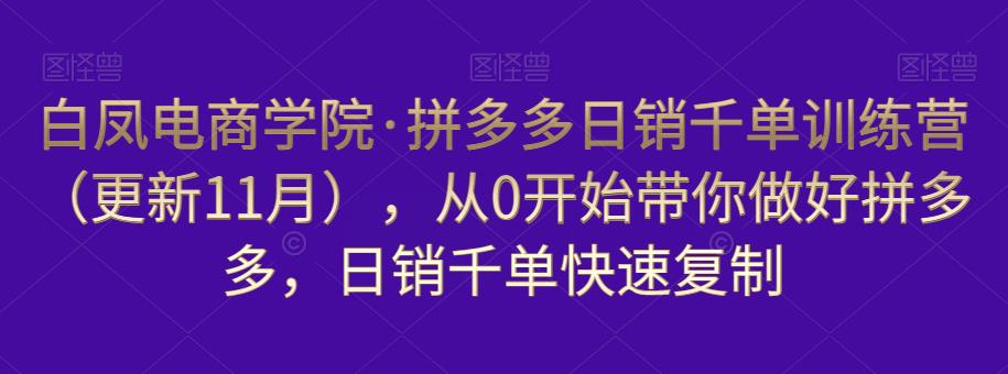 白凤电商学院·拼多多日销千单训练营，从0开始带你做好拼多多，日销千单快速复制（更新知2023年3月）-灵动共创