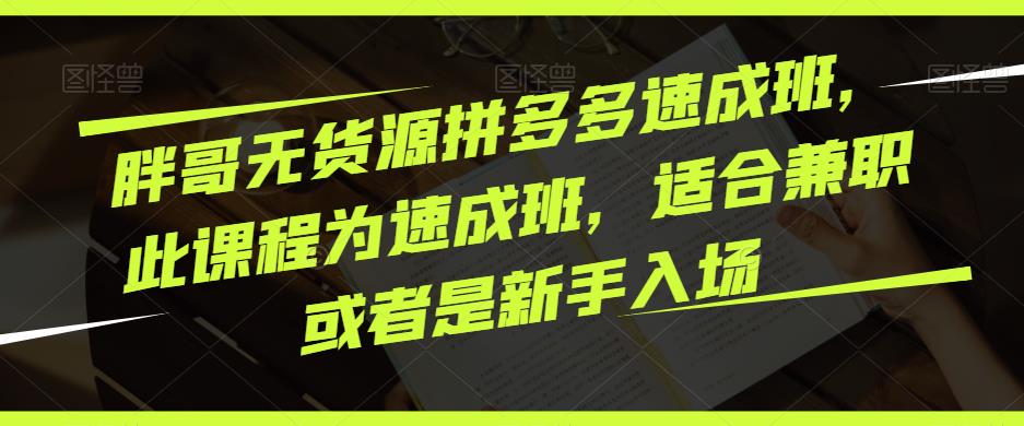 胖哥无货源拼多多速成班，此课程为速成班，适合兼职或者是新手入场-灵动共创