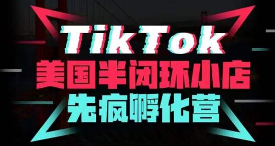 疯人院·TikTok美国半闭环小店孵化营，抢占TikTok美国蓝海市场，开店、运营、带货、投流全实操-灵动共创