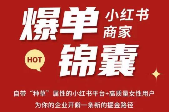 无畏·小红书商家爆单锦囊，掌握小红书各大规则，快速精准抢占行业和市场-灵动共创