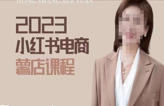 2023小红书电商课，新手小白从0~1玩转小红书薯店电商-灵动共创