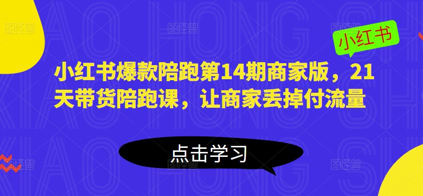 小红书爆款陪跑第14期商家版，21天带货陪跑课，让商家丢掉付流量-灵动共创