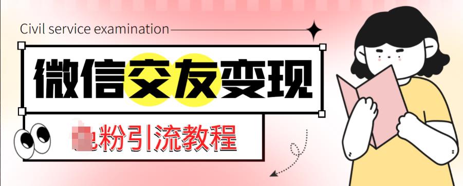 微信交友变现项目，吸引全网LSP男粉精准变现，小白也能轻松上手，日入500+-灵动共创