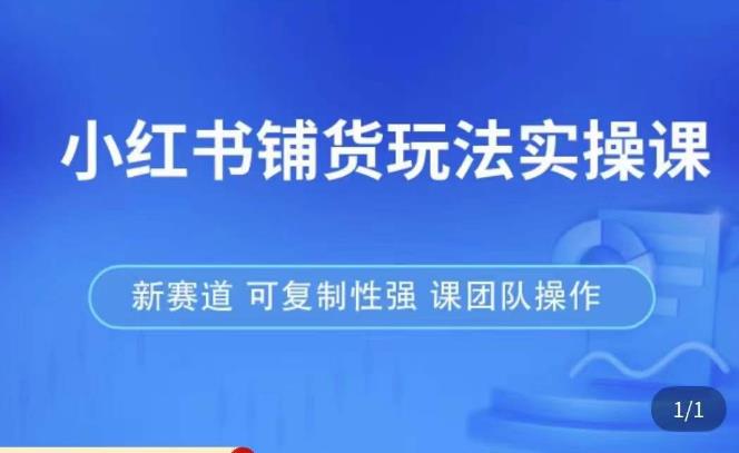 小红书铺货玩法实操课，流量大，竞争小，非常好做，新赛道，可复制性强，可团队操作-灵动共创