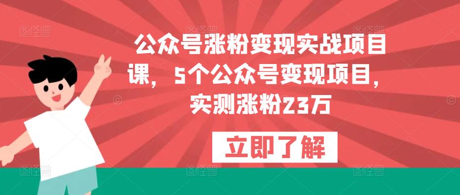 公众号涨粉变现实战项目课，5个公众号变现项目，实测涨粉23万-灵动共创